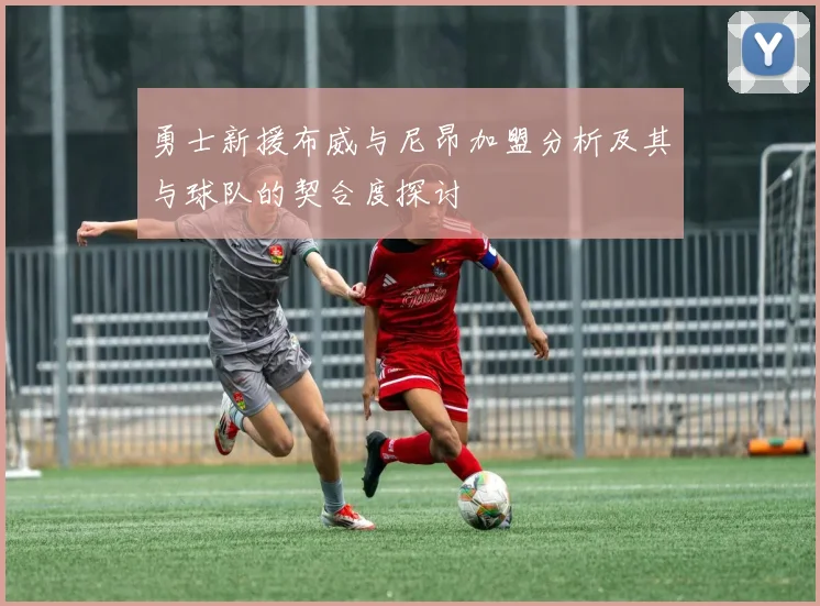 勇士新援布威与尼昂加盟分析及其与球队的契合度探讨